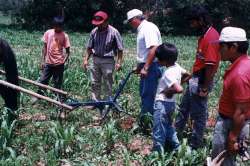 Farm power and mechanisation