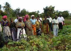 Soil and water conservation